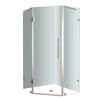 Neoscape 42 In. x 42 In. 72 In. Completely Frameless Neo-Angle Shower Enclosure in Stainless Steel