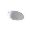14 In. W X 14 In. D Round Undermount Sink In White Color With Enamel Glaze Finish - Chrome