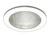 Shower Light with Satin White Trim Ring-4 Inch Aperture