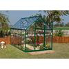 Nature Series Greenhouse, Green - Deluxe 6 Feet x 10 Feet