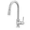 Sonoma, Pull Out, Dual Spray Faucet, Stainless Steel
