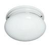 Ceiling Fixture Wiuh White Glass