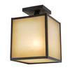 Hilden Outdoor Collection Aged Bronze 1-Light Ceiling Mount