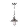 DANE 1 Light Brushed Nickel Pendant with Clear Glass