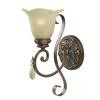 Catania Collection 1-Light Wall Sconce in Oxide Bronze with Silver