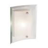 Clear Wall Plate and Frosted Cover 8 inch Sconce