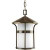 Welcome Collection Antique Bronze 1-light Hanging Lantern