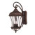 Satin 3 Light Bronze Halogen Outdoor Wall Mount With Clear Glass