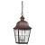 2 Light Weathered Copper Incandescent Outdoor Pendant