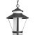 Via Collection 1-light Black Hanging Lantern