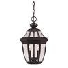Satin 2 Light Bronze Halogen Outdoor Hanging Lantern With Clear Glass