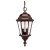 Satin 2 Light Bronze Halogen Outdoor Hanging Lantern With Clear Glass