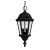 Satin 2 Light Black Halogen Outdoor Hanging Lantern With Clear Glass