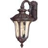 Beaumont - 1-Light Small Wall Lantern- Arm Down with Amber Water Glass finished in Fruitwood