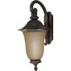 Parisian Old Penny Bronze 1-Light Wall Lantern Arm Down with Champagne Glass  (Bulb included)