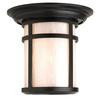Aventis Series, Black With Pearl Acrylic Diffuser, Ceiling Mount