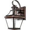 Monroe 1 Light Aged Copper Outdoor Incandescent Wall Lantern