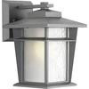 Loyal Collection 1-light Textured Graphite Wall Lantern