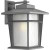Loyal Collection 1-light Textured Graphite Wall Lantern