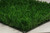 GREENLINE PET/SPORT 60 - Artificial Synthetic Lawn Turf Grass Carpet for Outdoor Landscape - 5 Feet x 10 Feet