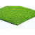 GREENLINE PUTTING GREEN 56 - Artificial Synthetic Lawn Turf Grass Carpet for Outdoor Landscape - 8 Feet x 12 Feet