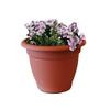 14 In. Bell Pot - Spice