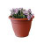 25 In. Bell Pot - Spice
