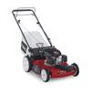 Recycler 22 Inch. All-Wheel Drive Personal Self-Propelled Gas Lawn Mower with Briggs & Stratton Engine
