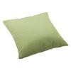 Cat Large Pillow Apple Green Linen