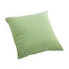 Parrot Small Pillow Lime mix thread