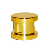 SteamSpa Steamhead with Aroma Therapy Reservoir in Polished Brass