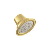 Polished Brass One-Function Easy Clean Xlt Showerhead