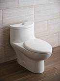 Tofino Dual Flush Complete One Piece 1.08/1.59 Gal. Elongated Toilet