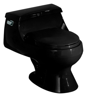 Rialto One Piece1.6 Gal. Round Bowl Front Toilet in Black