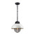 Darby 1 Light Pendant In Oil Rubbed Bronze/White