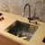 Stainless Steel Undermount Kitchen Sink Faucet and Dispenser