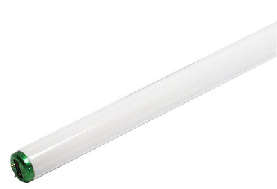 Fluorescent 17W T8 24 Inch Soft White (3000K) - Case of 30 Bulbs