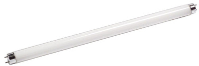 Fluorescent 15W T8 18" Cool White (4100K)