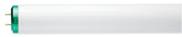 Fluorescent 40W T12 48" Cool White Supreme/Alto (4100K) - 2 Pack