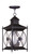 Providence 2 Light Bronze Incandescent Pendant with Clear Beveled Glass