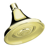 Forté Multifunction Showerhead In Vibrant French Gold