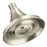 Forté Multifunction Showerhead In Vibrant Brushed Nickel