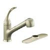 Coralais Single-Control Pullout Spray Kitchen Sink Faucet In Vibrant Brushed Nickel