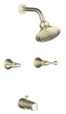 Revival Bath And Shower Faucet In Vibrant Brushed Nickel