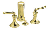 Devonshire Vertical Spray Bidet Faucet In Vibrant Polished Brass