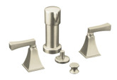 Memoirs Bidet Faucet With Stately Design In Vibrant Brushed Nickel