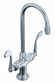Essex Entertainment Sink Faucet In Polished Chrome
