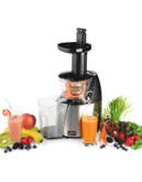 Salton Low Speed Juicer and Smoothie Maker - STAINLESS STEEL