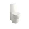 Saile One Piece 1.6 gal with Dual Flush Technology Elongated Toilet in White