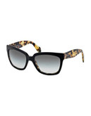 Prada Classic Square Sunglasses - OPAL BROWN ON BROWN